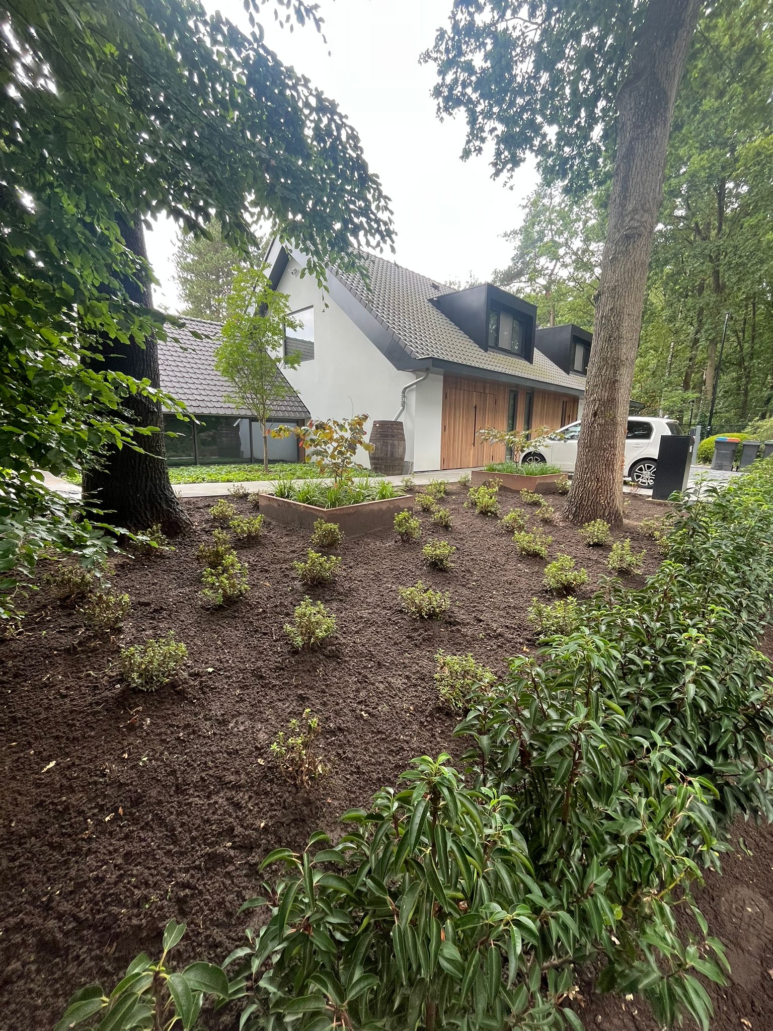 Voortuin met nieuwe beplanting bij moderne villa