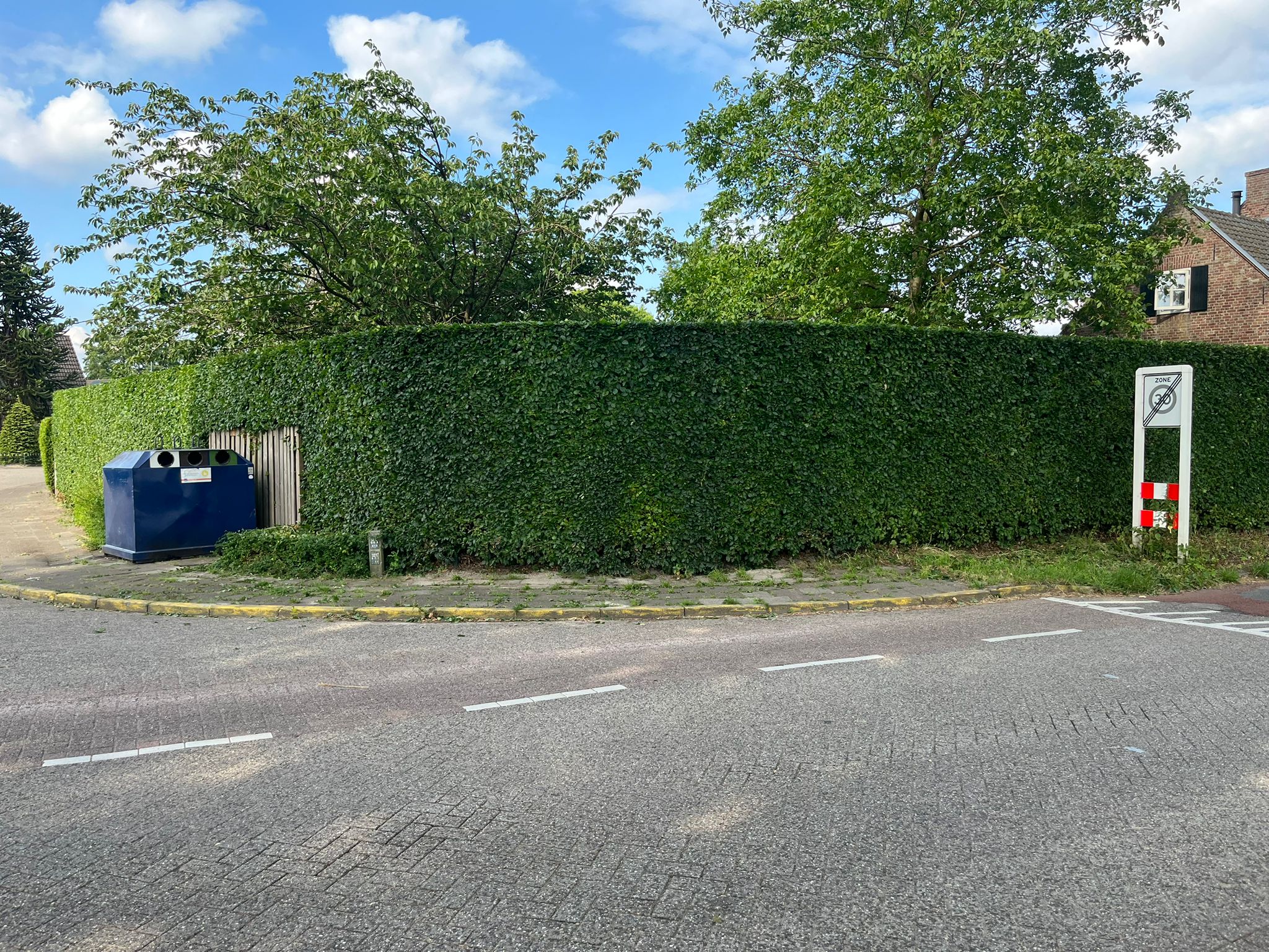 Beukenhaag langs dorpsstraat