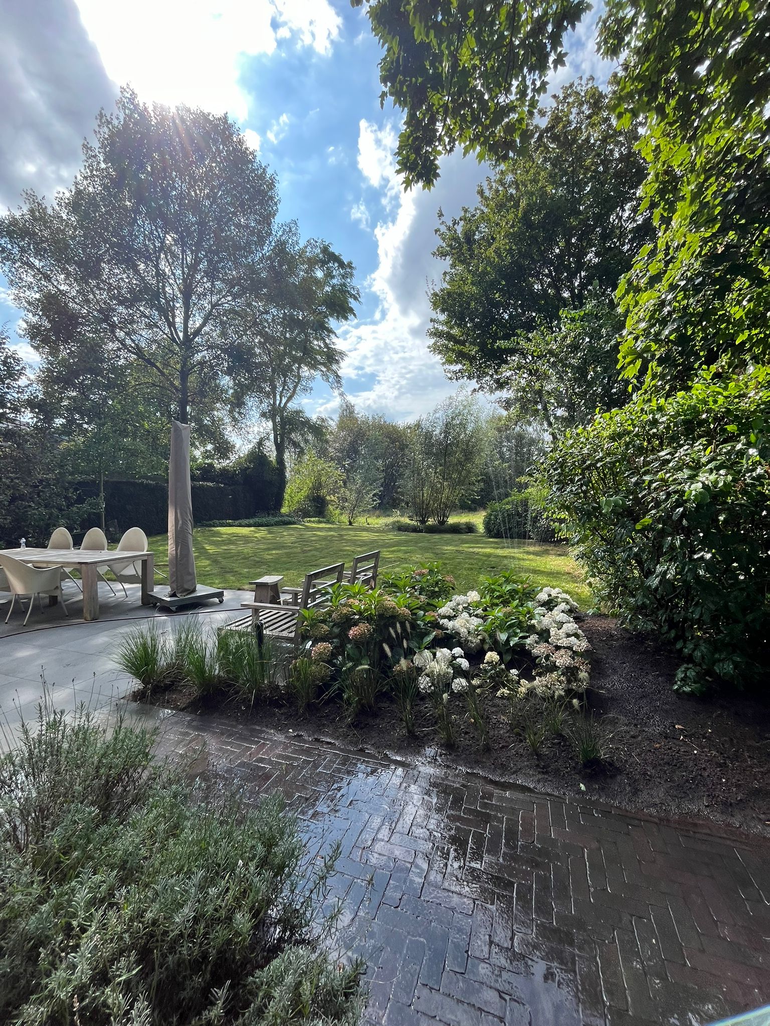 Achtertuin met terras en bloeiende hortensia's