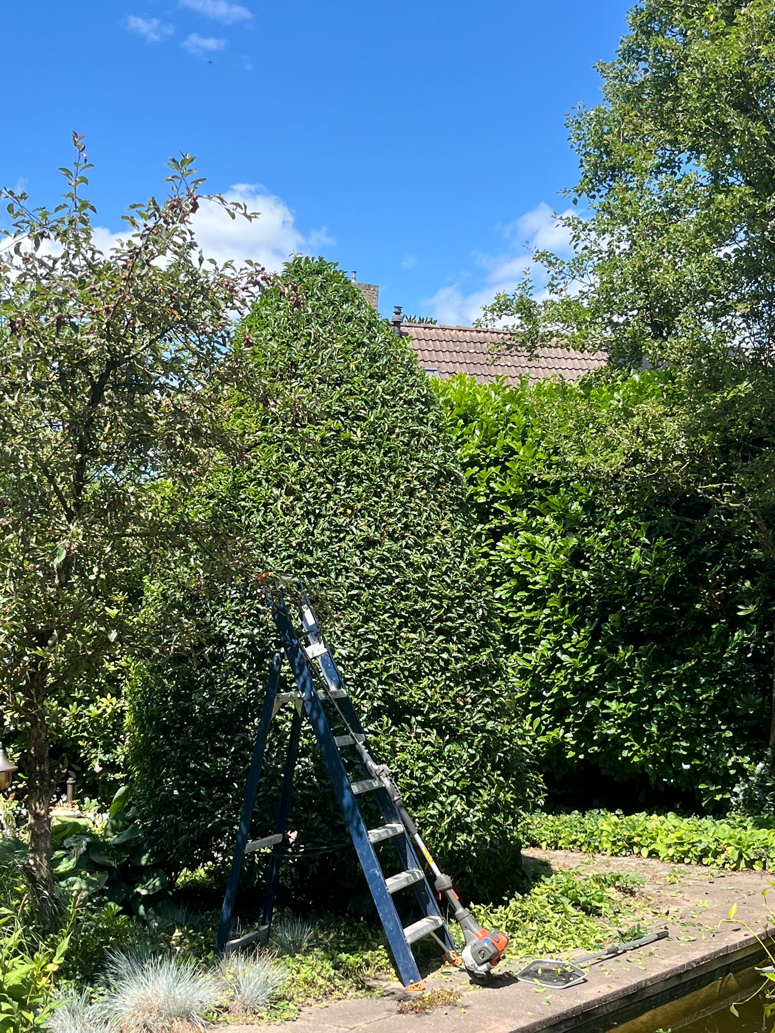 Huib aan het werk in de tuin