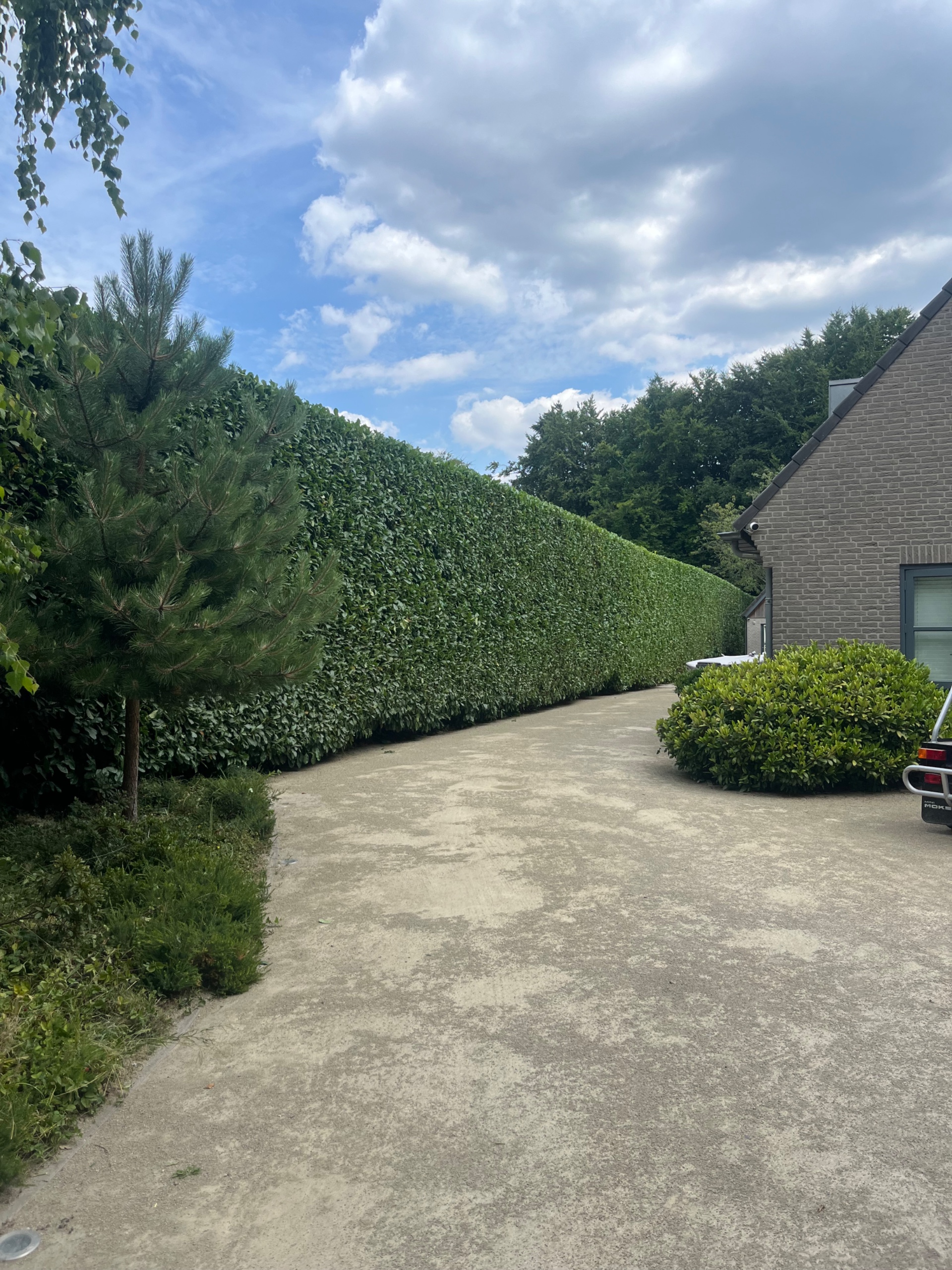 Hagen snoeien en tuinonderhoud