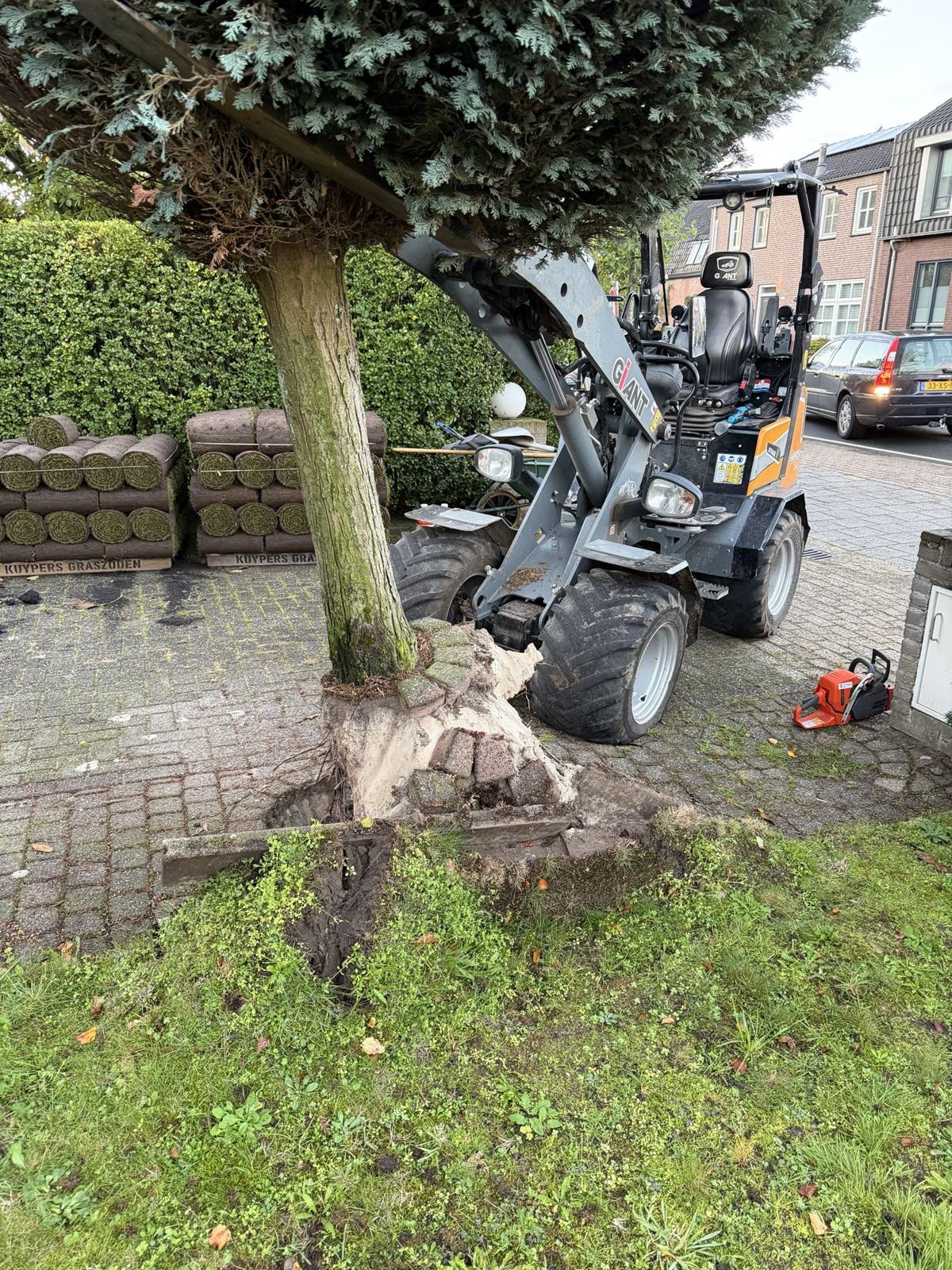 bomen verwijderen met minishovel
